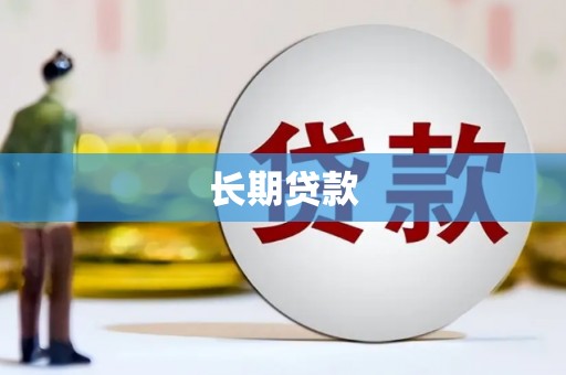 东川长期贷款