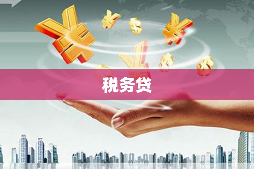 东川税务贷