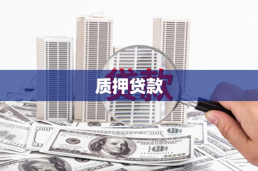 东川质押贷款