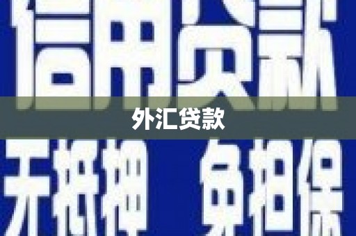东川外汇贷款