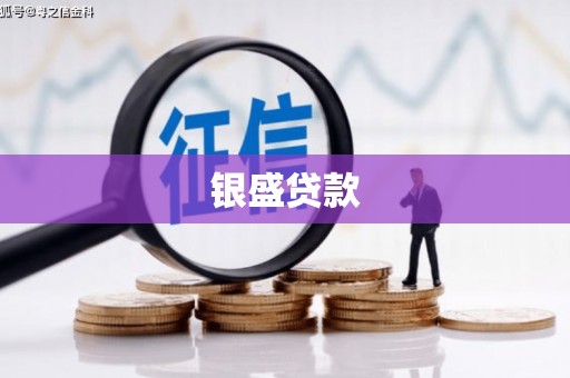 东川银盛贷款