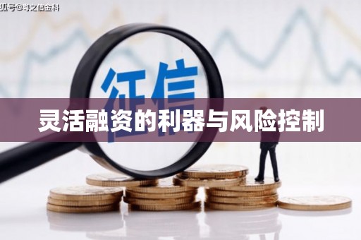 东川灵活融资的利器与风险控制