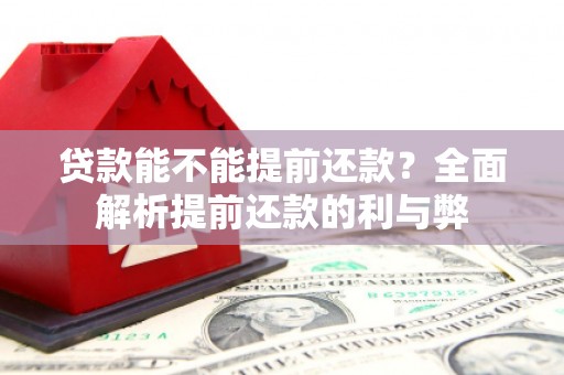 东川贷款能不能提前还款？全面解析提前还款的利与弊