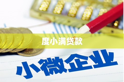 东川度小满贷款