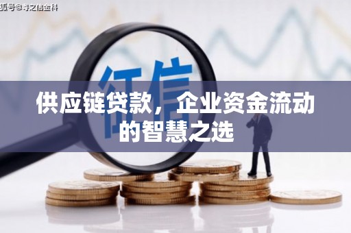 东川供应链贷款，企业资金流动的智慧之选
