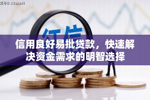 东川信用良好易批贷款，快速解决资金需求的明智选择