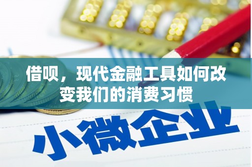 东川借呗，现代金融工具如何改变我们的消费习惯