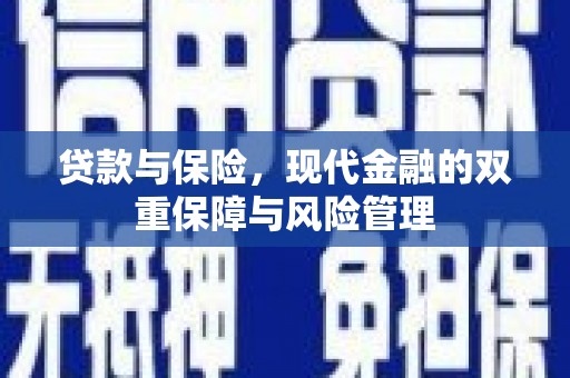 东川贷款与保险，现代金融的双重保障与风险管理