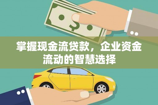 东川掌握现金流贷款，企业资金流动的智慧选择