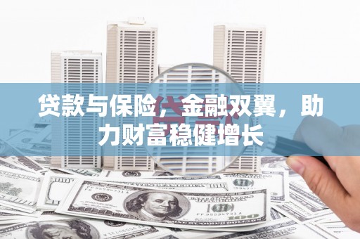 东川贷款与保险，金融双翼，助力财富稳健增长