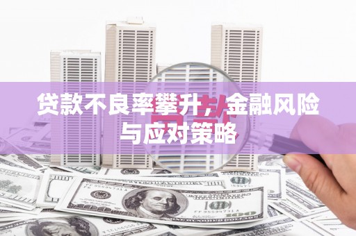东川贷款不良率攀升，金融风险与应对策略