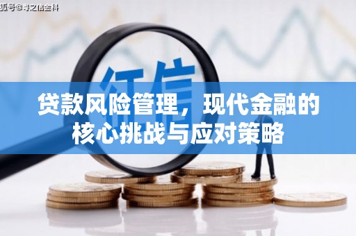 东川贷款风险管理，现代金融的核心挑战与应对策略