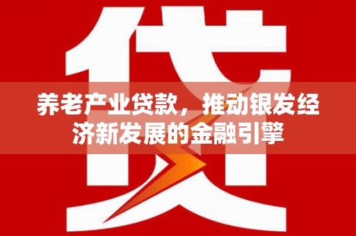东川养老产业贷款，推动银发经济新发展的金融引擎