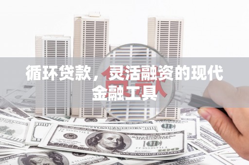 东川循环贷款，灵活融资的现代金融工具