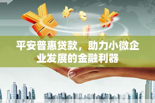 东川平安普惠贷款，助力小微企业发展的金融利器