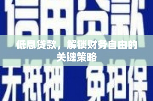 东川低息贷款，解锁财务自由的关键策略
