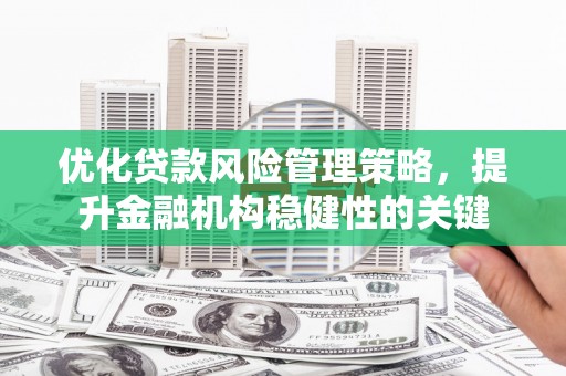 东川优化贷款风险管理策略，提升金融机构稳健性的关键