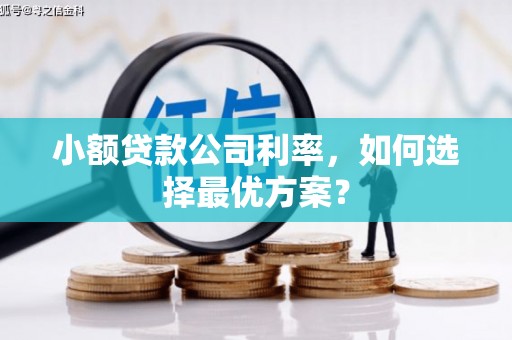 东川小额贷款公司利率，如何选择最优方案？