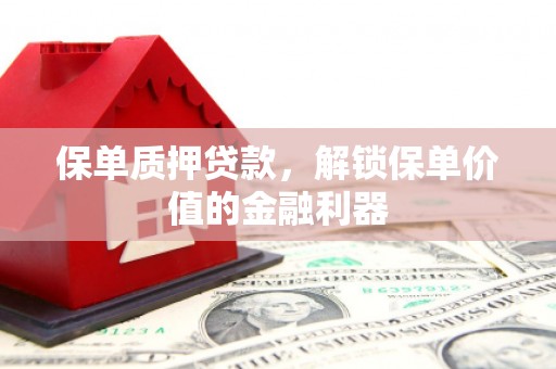 东川保单质押贷款，解锁保单价值的金融利器