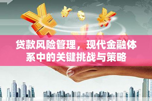 东川贷款风险管理，现代金融体系中的关键挑战与策略