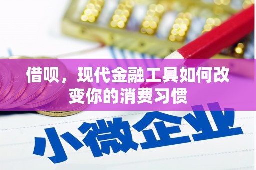 东川借呗，现代金融工具如何改变你的消费习惯