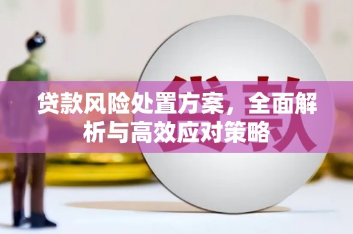 东川贷款风险处置方案，全面解析与高效应对策略