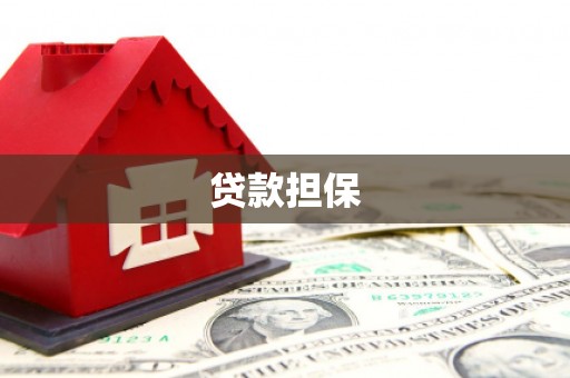 东川贷款担保