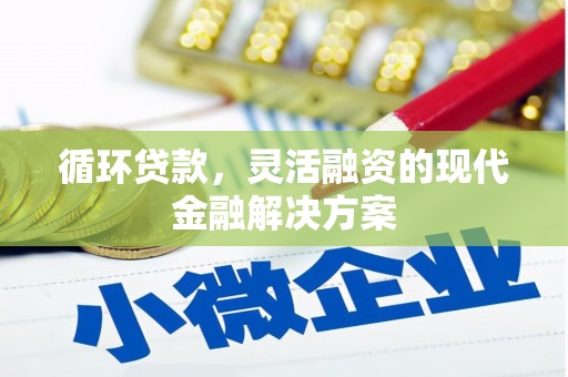 东川循环贷款，灵活融资的现代金融解决方案