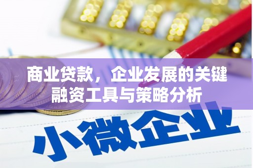 东川商业贷款，企业发展的关键融资工具与策略分析