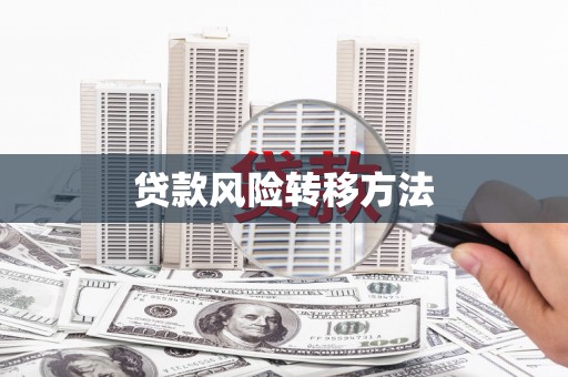 东川贷款风险转移方法