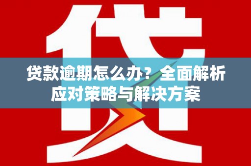 东川贷款逾期怎么办？全面解析应对策略与解决方案