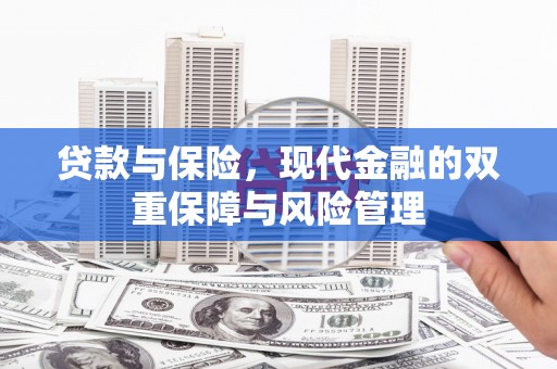 东川贷款与保险，现代金融的双重保障与风险管理