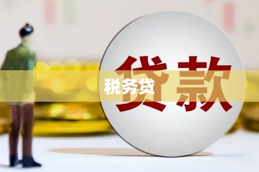 东川税务贷