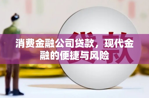 东川消费金融公司贷款，现代金融的便捷与风险