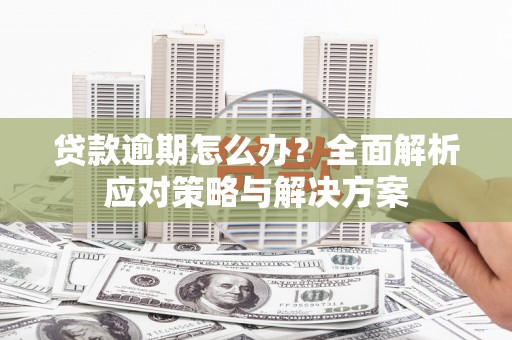 东川贷款逾期怎么办？全面解析应对策略与解决方案