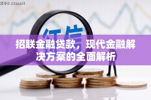 东川招联金融贷款，现代金融解决方案的全面解析