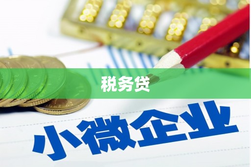 东川税务贷