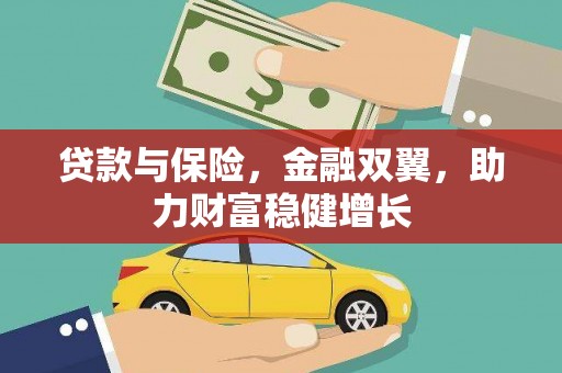 东川贷款与保险，金融双翼，助力财富稳健增长