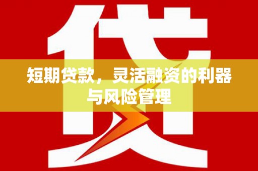 东川短期贷款，灵活融资的利器与风险管理