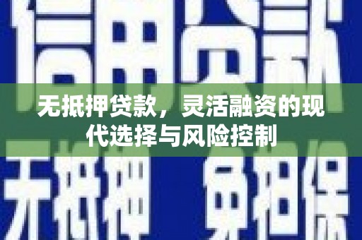 东川无抵押贷款，灵活融资的现代选择与风险控制