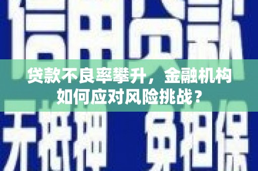 东川贷款不良率攀升，金融机构如何应对风险挑战？