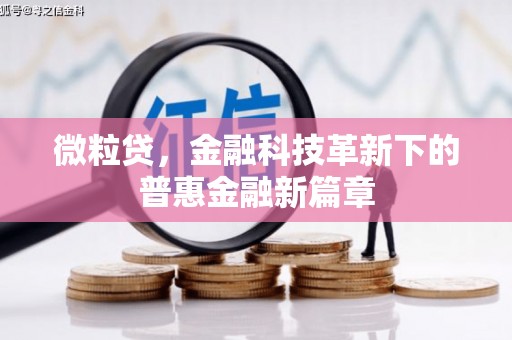 东川微粒贷，金融科技革新下的普惠金融新篇章