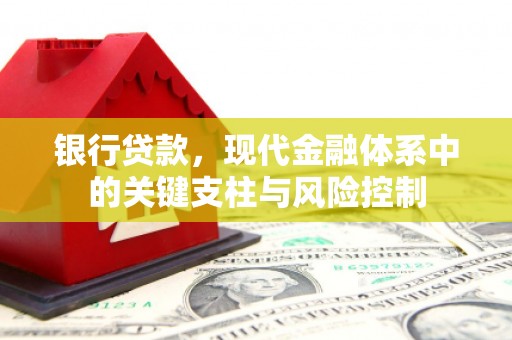东川银行贷款，现代金融体系中的关键支柱与风险控制