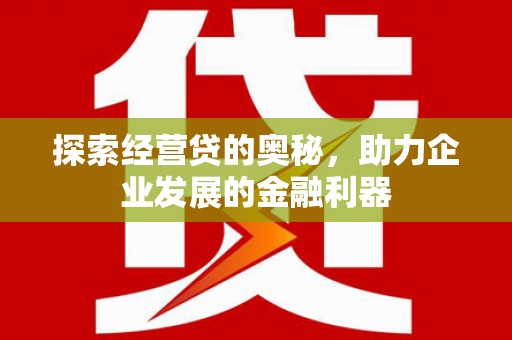 东川探索经营贷的奥秘，助力企业发展的金融利器