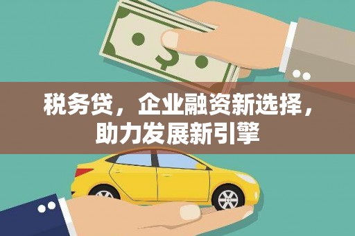 东川税务贷，企业融资新选择，助力发展新引擎