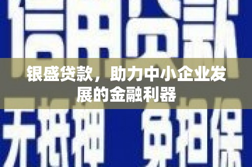 东川银盛贷款，助力中小企业发展的金融利器