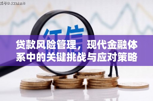 东川贷款风险管理，现代金融体系中的关键挑战与应对策略