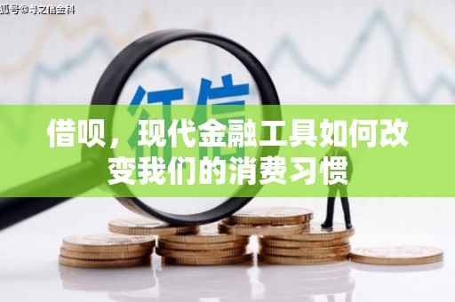 东川借呗，现代金融工具如何改变我们的消费习惯