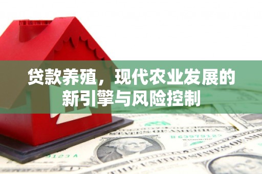 东川贷款养殖，现代农业发展的新引擎与风险控制