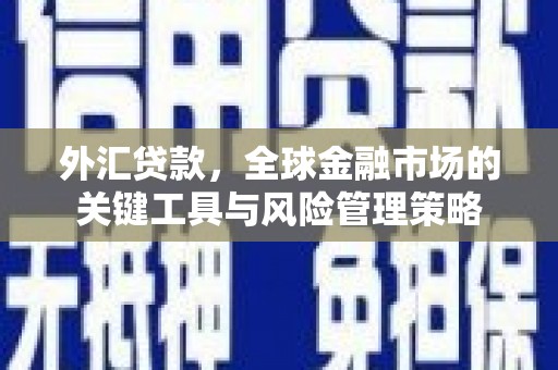 东川外汇贷款，全球金融市场的关键工具与风险管理策略
